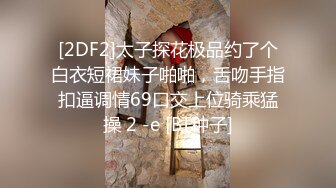 TWTP 大神潜入商场女厕全景偷拍多位美女嘘嘘第一季 (5)