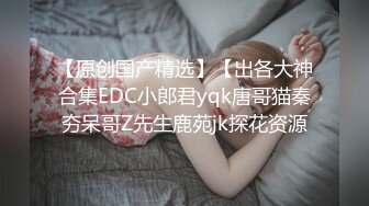 【原创国产精选】【出各大神合集EDC小郎君yqk唐哥猫秦夯呆哥Z先生鹿苑jk探花资源