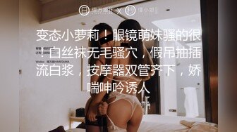 女友打桩机