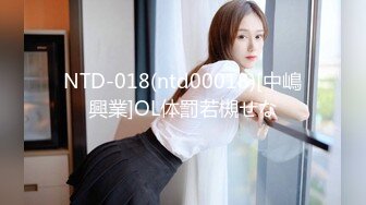 NTD-018(ntd00018)[中嶋興業]OL体罰若槻せな