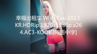 幸福出租车.Wish Taxi.2013.KR.HDRip.1920x1080p.x264.AC3-KOOK.[韩语中字]