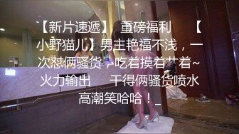 怒草自家小母狗