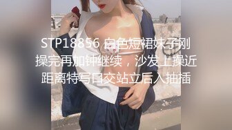 无毛小骚妻