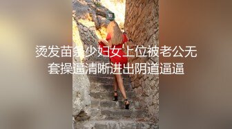 【網爆門事件】微博熱議東北警花門口交,毒龍視頻！