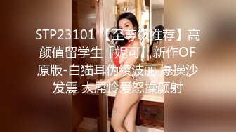 痴女小恶魔！痛感激情鞭打！