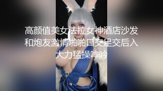 超顶土豪大神的专属性玩物▌91兔兔▌骚女色诱外卖小哥