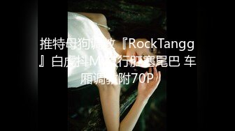 推特母狗调教『RockTangg』白虎抖M 夜行肛塞尾巴 车厢调教附70P