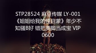 MD-0208快感刺激的极致调教-夏晴子 苏清歌