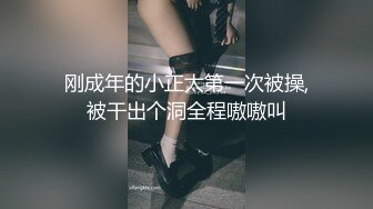 葫芦影业 HLW010 COSER女友爆操日