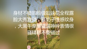 黄软件破解版下载大全