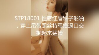 STP18001 性感红唇妹子啪啪，穿上吊带黑丝特写摸逼口交抱起来猛操