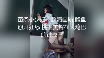 重磅订阅流出，有钱SM大神玩女超强调教大神【se7en】私拍，滴蜡电控羞辱露出啪啪极品女神反差S母狗 (3)