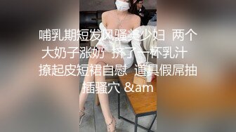 哺乳期短发风骚美少妇  两个大奶子涨奶  挤了一杯乳汁  撩起皮短裙自慰  道具假屌抽插骚穴 &am