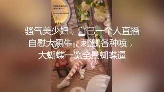 SM调教露出啪啪 第一部 (1)