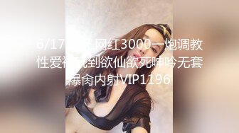 國產AV 精東影業 JDYA020 嫩穴女孩雙穴齊開 斑斑