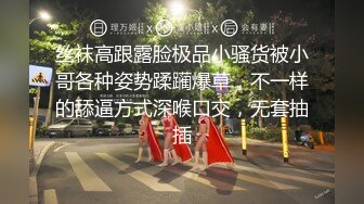    良家期间，私下却被老公教坏了，床上那点事，给妻子买了丝袜，晚上下班了就两个人一起玩