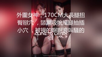 【AV佳丽】莉娜想学做饭，所以她邀请了一位厨师来操她