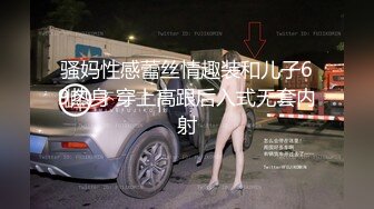 麻豆傳媒 MD0265 女銷售的車震推銷 莫夕慈