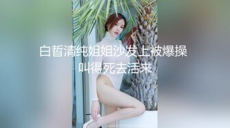 X女调查官系列之色欲熏心豪乳女特务