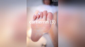 cartiernn (3)