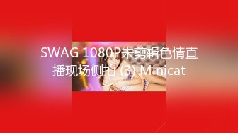 SWAG 1080P未剪辑色情直播现场侧拍 (3) Minicat