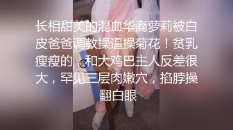 蓝色渔网女郎美腿高跟透明内衣下性感屁股肉嘟嘟鸡巴拳头一起干