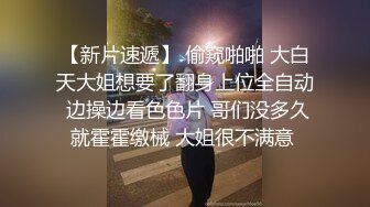 半半子 - 碧蓝航线兴登堡兔女郎 微醺胜负